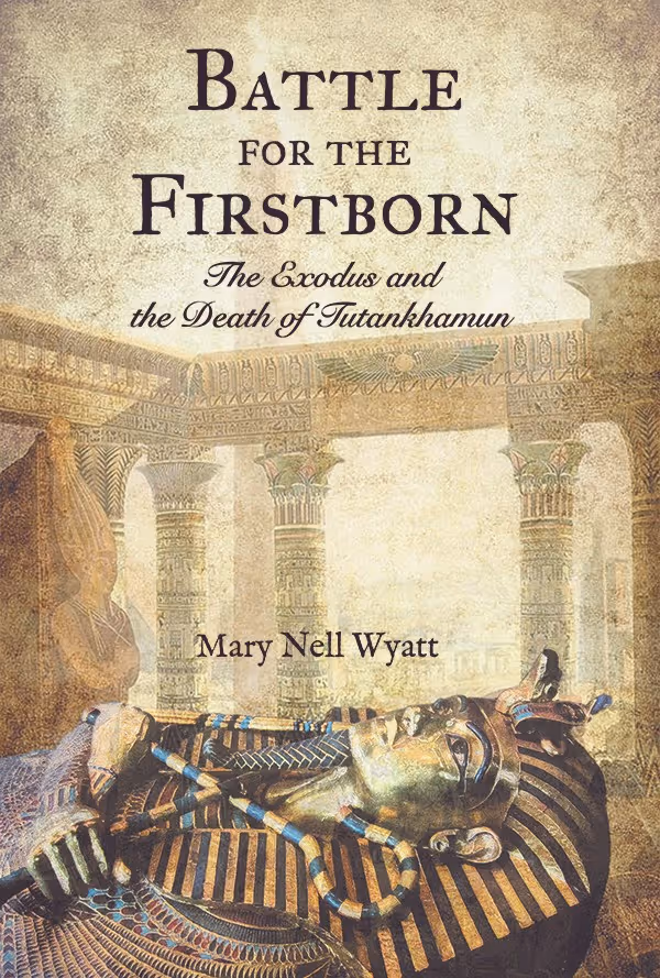 battle for the FirstBorn Book